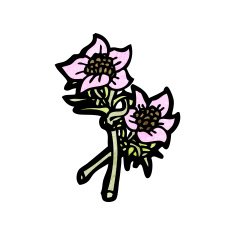 wildflowers illustration N8