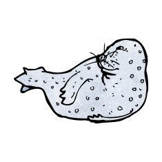seal illustration N5