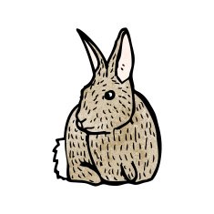 rabbit illustration N4