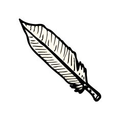 feather illustration N3
