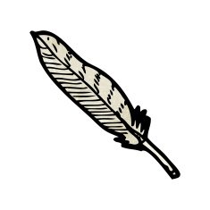 feather illustration N4