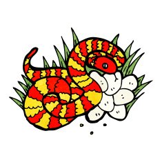 snake on nest of eggs N2