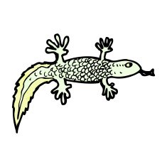 Cartoon Newt N8