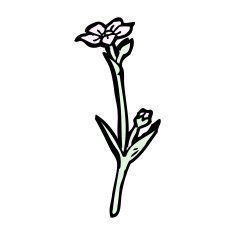wild flowers cartoon N9