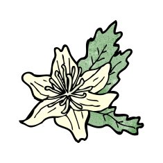Cartoon Flowers N89