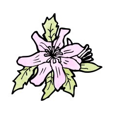 Cartoon Flowers N90