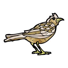 garden bird illustration N4