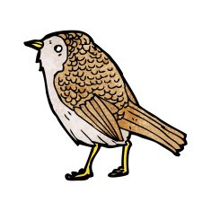 garden bird illustration N6