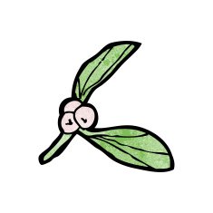 winter berries cartoon N4