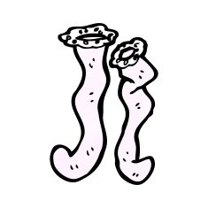 cartoon long stockings N2