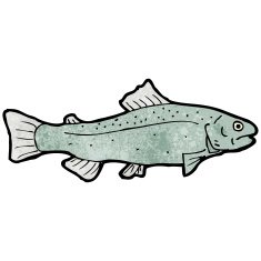 Fish Illustration N18