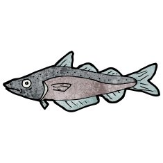 Fish Illustration N20
