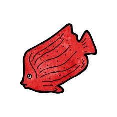 Fish Illustration N21