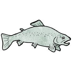 Fish Illustration N22