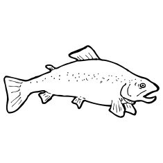 cartoon black and white fish drawing