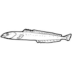 cartoon black and white fish drawing N2