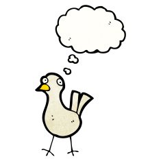 Cartoon Bird N454