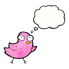 Little Bird Cartoon N6