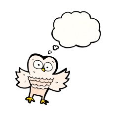 Cartoon Owl N167