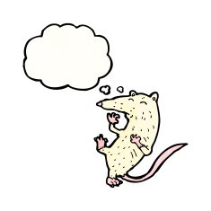 cartoon lab rat N5