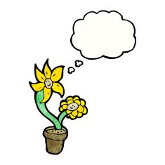 cartoon flowerpot N11