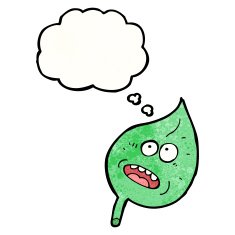 leaf with thought bubble cartoon N2