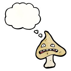 cartoon mushroom N101