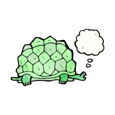 giant tortoise cartoon N2