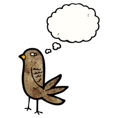 cartoon bird with thought bubble N360