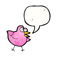 Cartoon Pink Bird N5