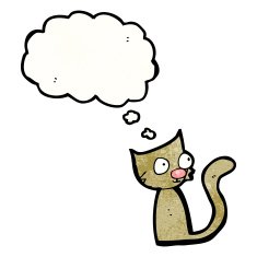 little cartoon cat N4
