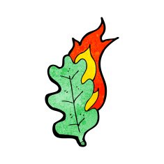 cartoon burning leaf N17