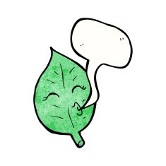 cartoon leaf with speech bubble N24