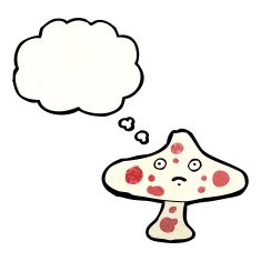 cartoon mushroom N104