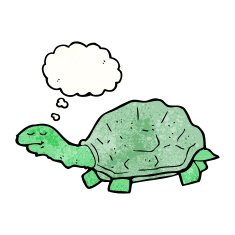 Cartoon Tortoise N54