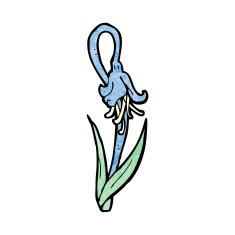 blue flower cartoon N11