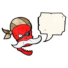 Cartoon Pirate Skull N10