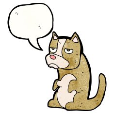 cartoon grumpy little dog N13