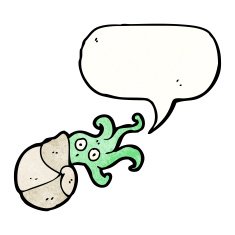 Nautilus Squid Cartoon N6