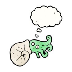 cartoon nautilus squid N14