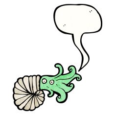 Nautilus Squid Cartoon N7