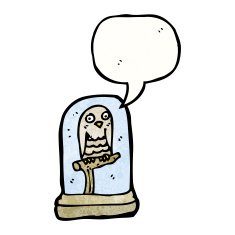 stuffed owl cartoon N2