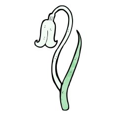 cartoon snowdrop N6
