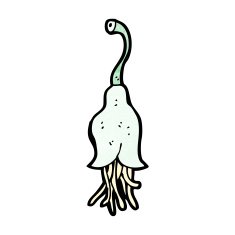 cartoon flower head N3