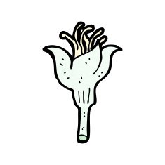 cartoon flower head N4