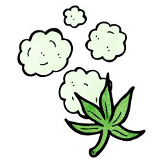 marijuana leaf cartoon N5