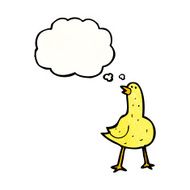 bird with thought bubble cartoon N8