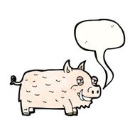 Cartoon Pig N68