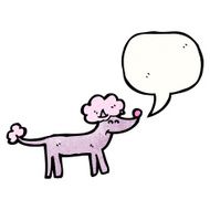 Cartoon Poodle N35