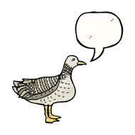 Cartoon Duck N41